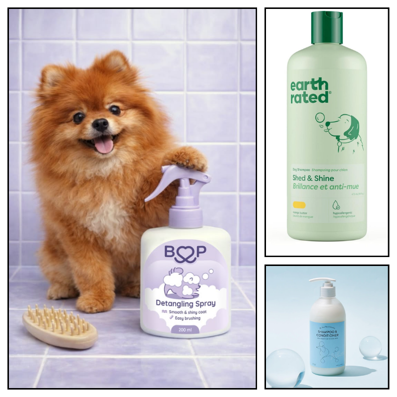 Hazel Cosmetic phát triển sữa tắm pet theo từng nhu cầu theo mùa